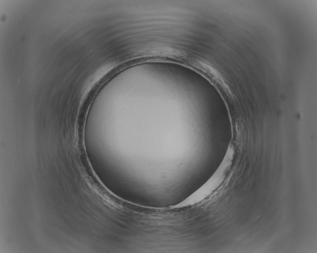 X0000074940780200609081350