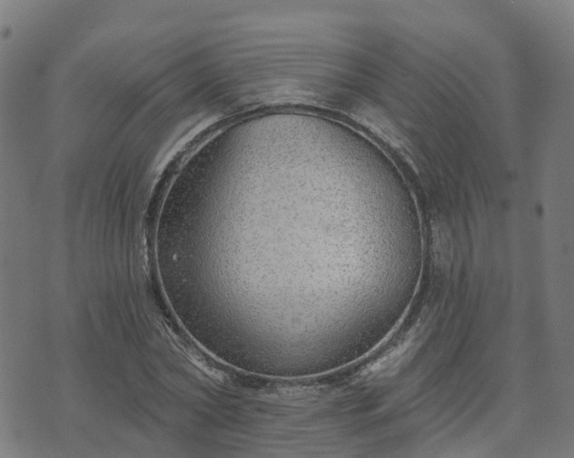 X0000074940782200609081350