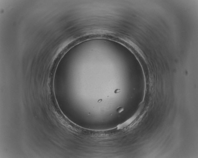 X0000074940783200609081350