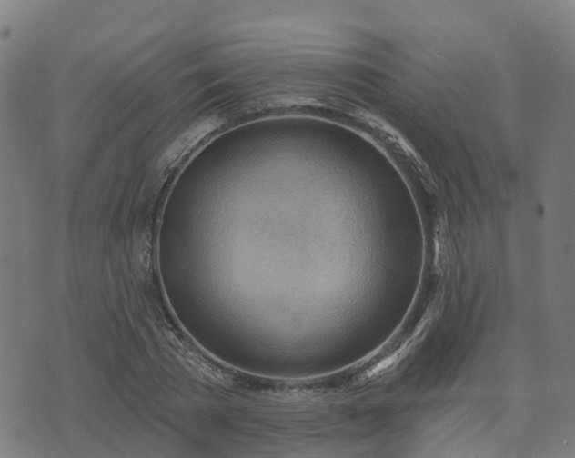 X0000074940785200609081350