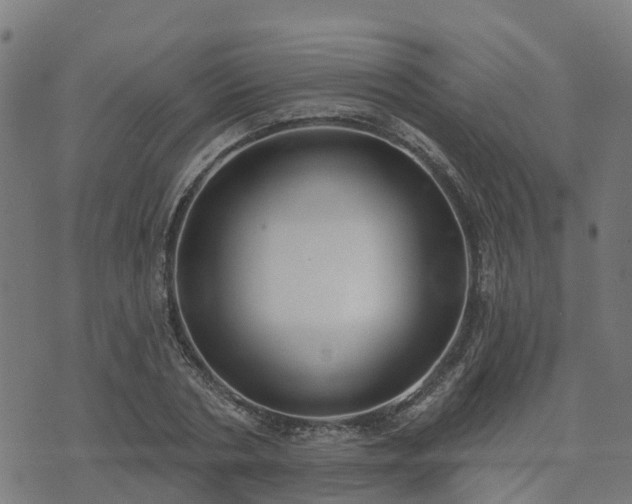 X0000074940786200609081350