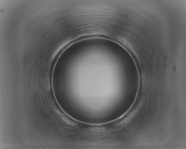 X0000074940789200609081350