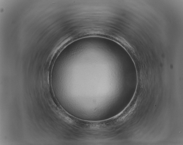 X0000074940790200609081350