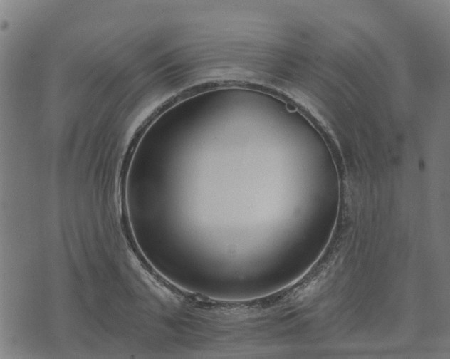 X0000074940791200609081350