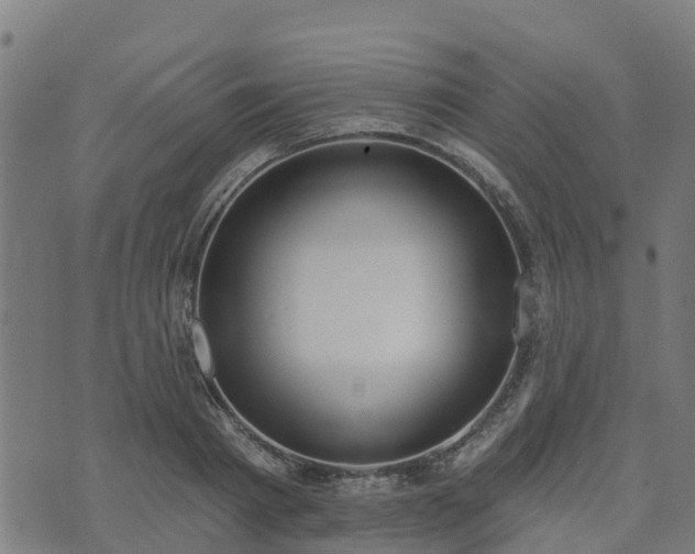 X0000074940793200609081350