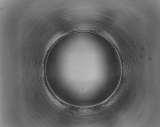 X0000074940795200609081350