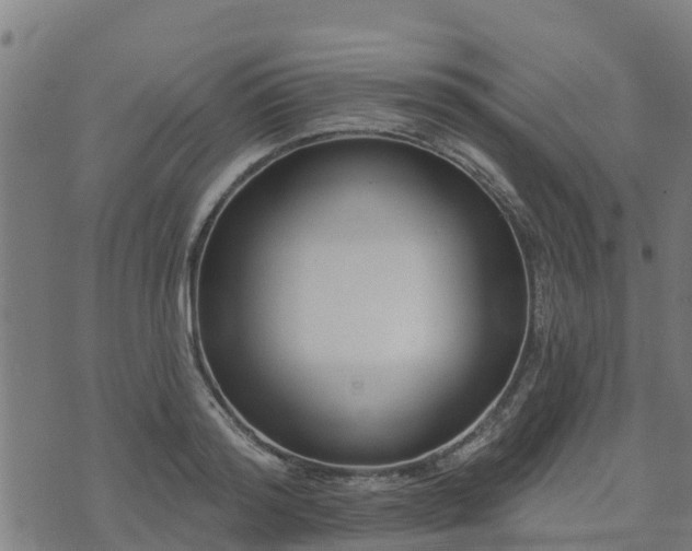 X0000074940796200609081350