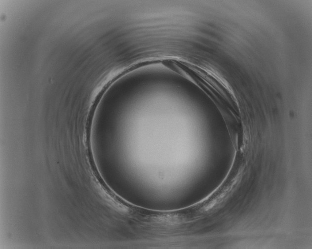 X0000074940797200609081349