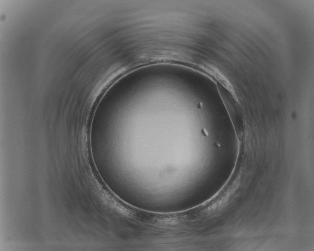 X0000074940798200609081349