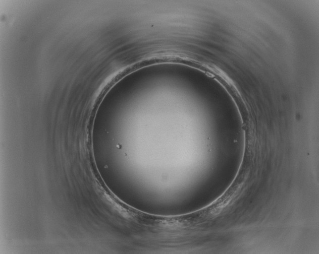 X0000074940799200609081349