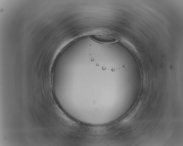 X0000074940800200609081349