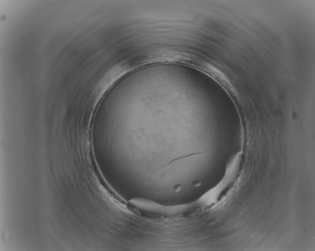 X0000074940802200609081349