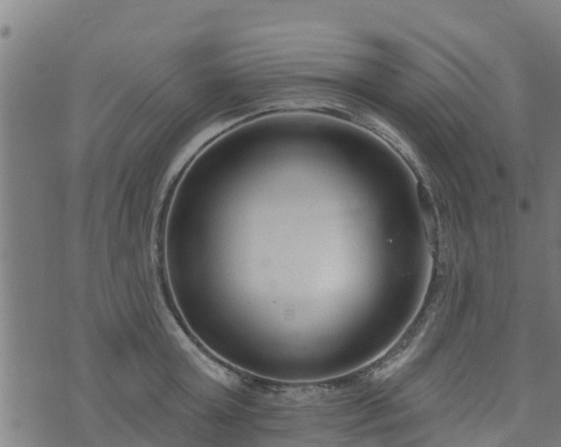 X0000074940803200609081349