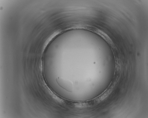 X0000074940804200609081349