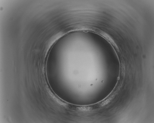 X0000074940805200609081349