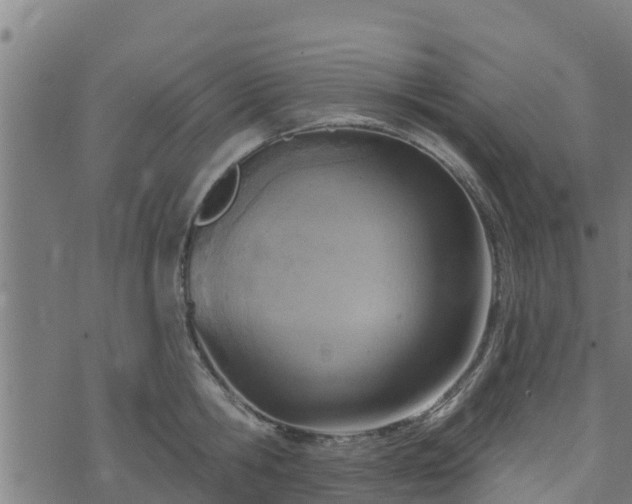 X0000074940806200609081349