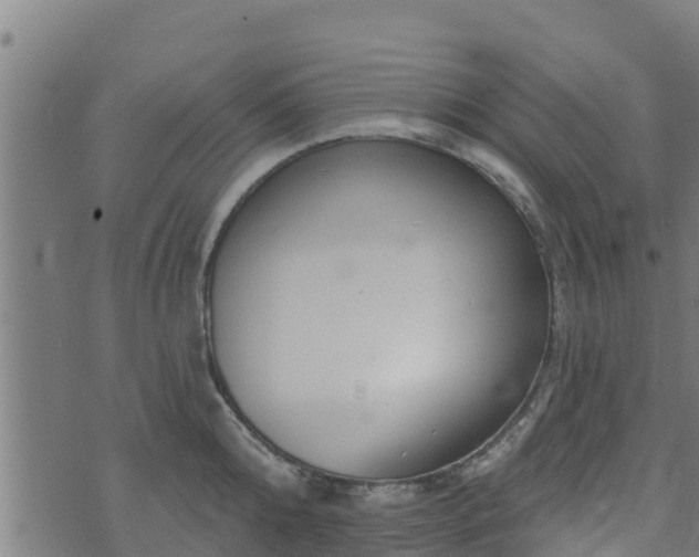 X0000074940808200609081349