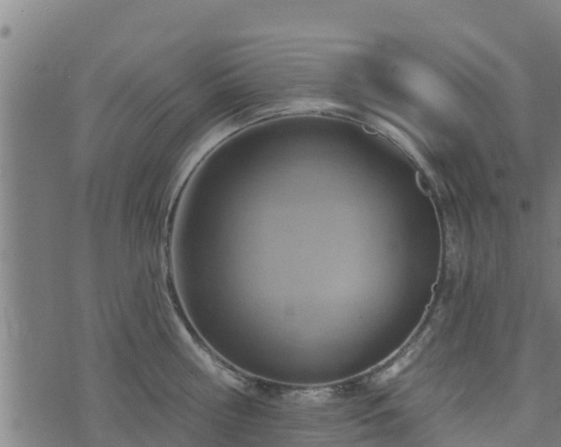 X0000074940810200609081349