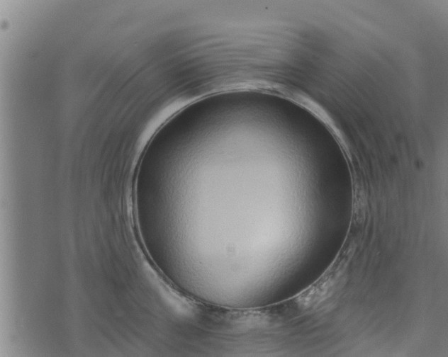 X0000074940811200609081349