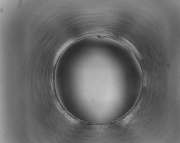 X0000074940812200609081349