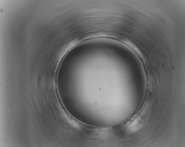 X0000074940813200609081349