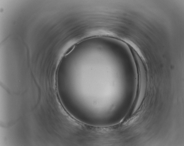 X0000074940815200609081349