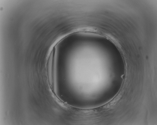 X0000074940816200609081349