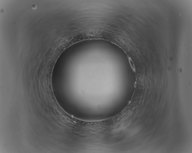 X0000074940817200609081348