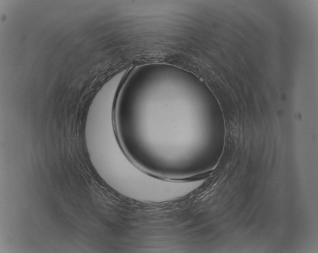 X0000074940818200609081348