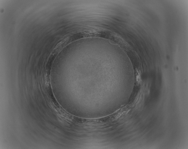 X0000074940819200609081348