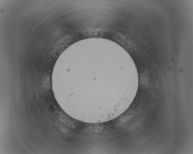 X0000074940820200609081348