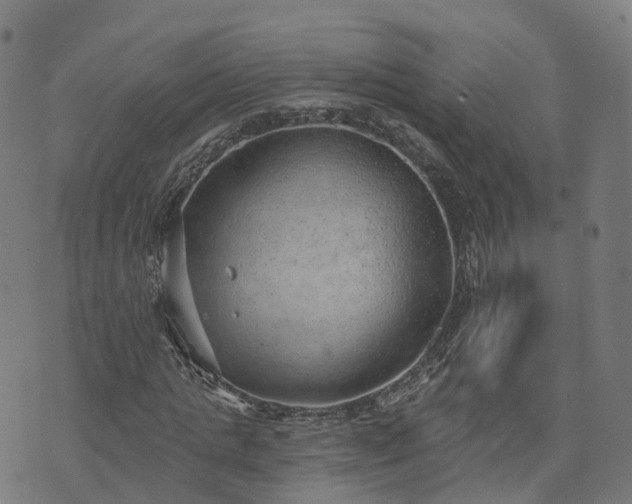 X0000074940821200609081348