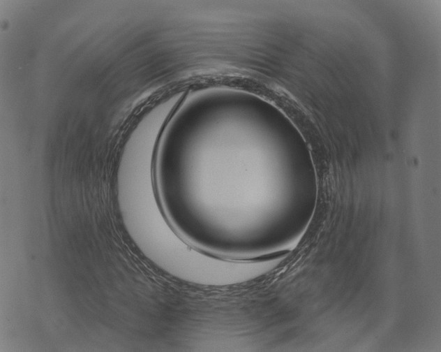 X0000074940822200609081348