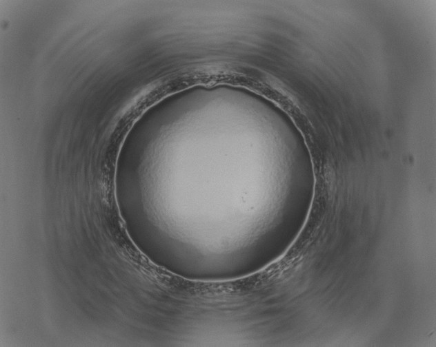 X0000074940823200609081349