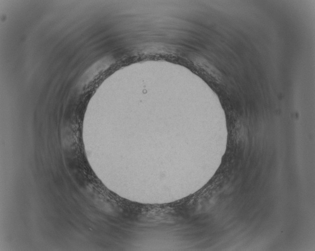 X0000074940824200609081349