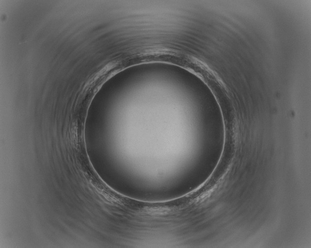 X0000074940825200609081349