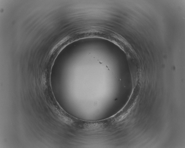 X0000074940826200609081349