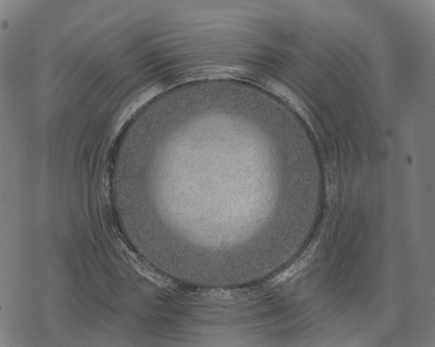 X0000074940827200609081349