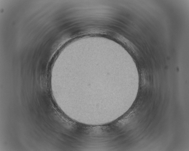 X0000074940828200609081349