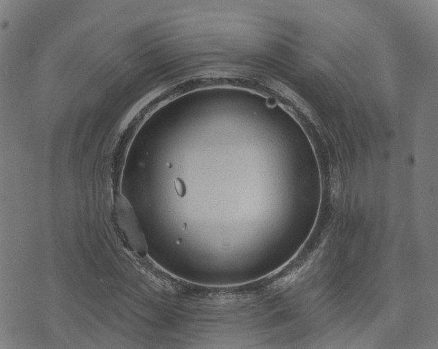 X0000074940829200609081349