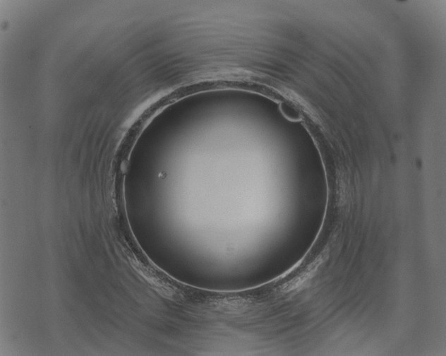 X0000074940830200609081349