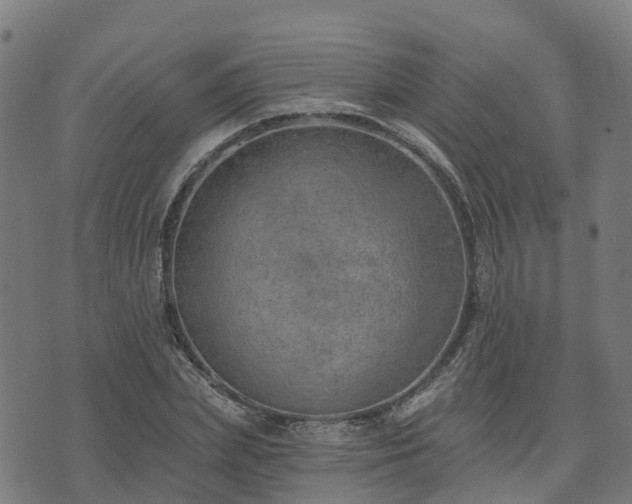 X0000074940831200609081349