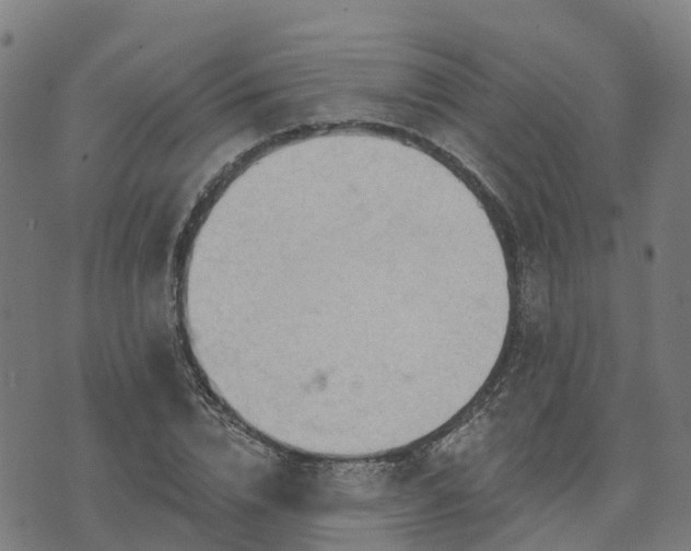 X0000074940832200609081349