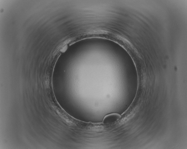 X0000074940833200609081349