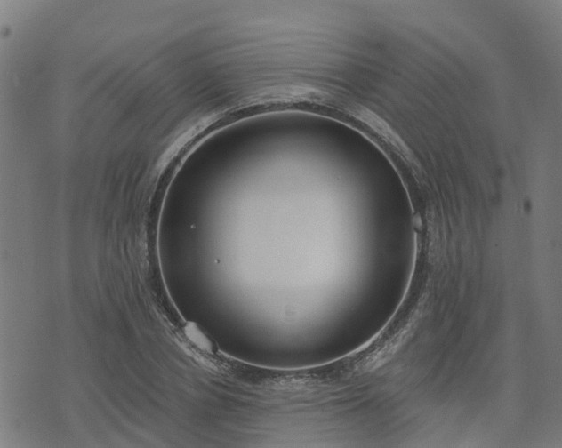 X0000074940834200609081349