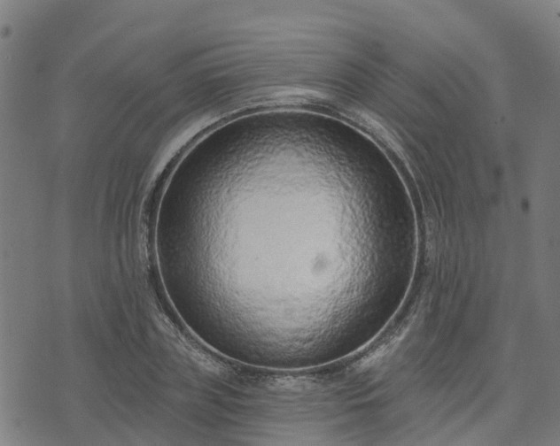 X0000074940835200609081349