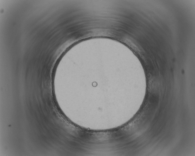 X0000074940836200609081349