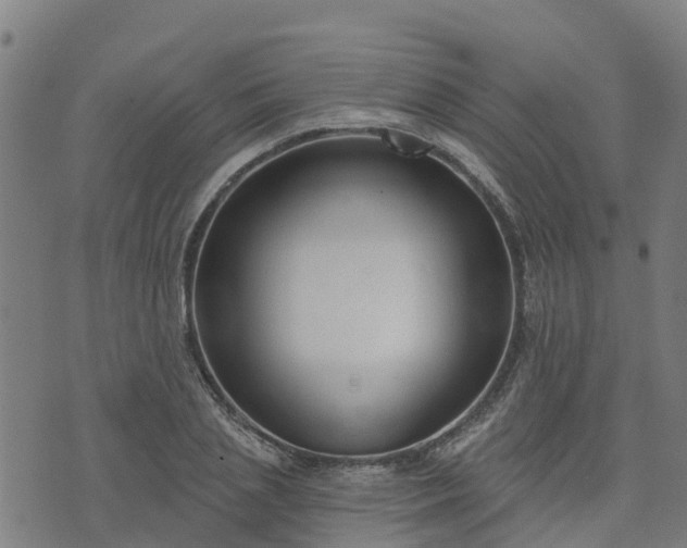 X0000074940837200609081349