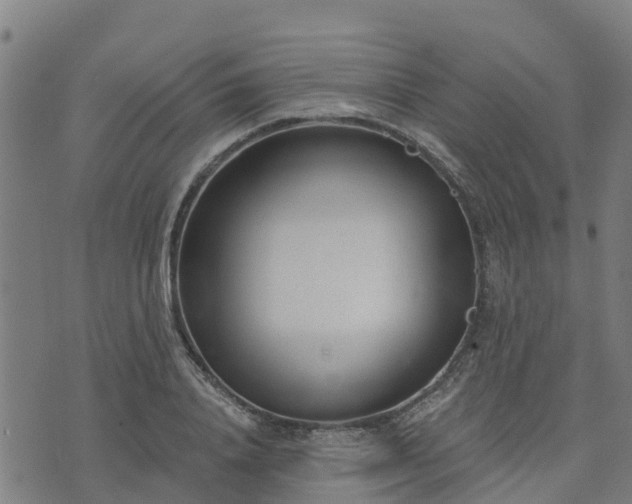 X0000074940840200609081349