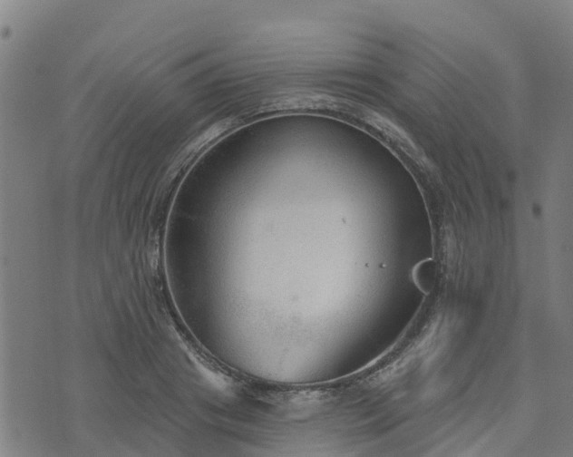 X0000074940841200609081349